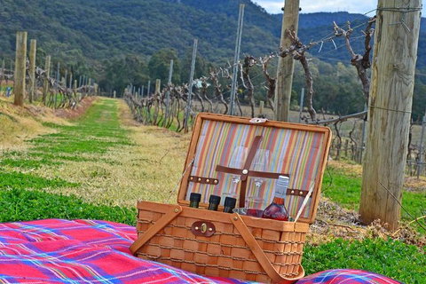 Private Hunter Valley And Gardens Day Trip From Sydney - New South Wales Tourism  2