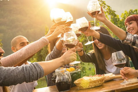 Yarra Valley, Dandenong Ranges Inc. Lunch With Wine,plus Morning Tea,chocolate - New South Wales Tourism  4