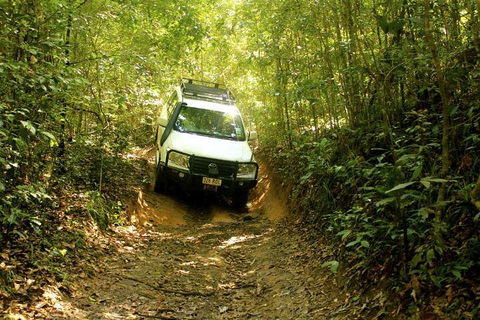 Barron Gorge And Kuranda National Park Half Day Rainforest And Waterfall 4WD Tour From Cairns - New South Wales Tourism  2