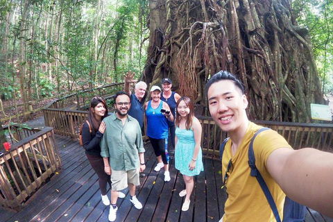 Barron Gorge And Kuranda National Park Half Day Rainforest And Waterfall 4WD Tour From Cairns - New South Wales Tourism  5
