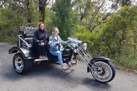 Blue Mountains 1-Hour Trike Tour Of Three Sisters - New South Wales Tourism  1
