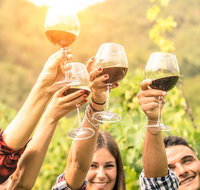 Adelaide Hills Day Tour. Winery Cellar Doors - New South Wales Tourism 