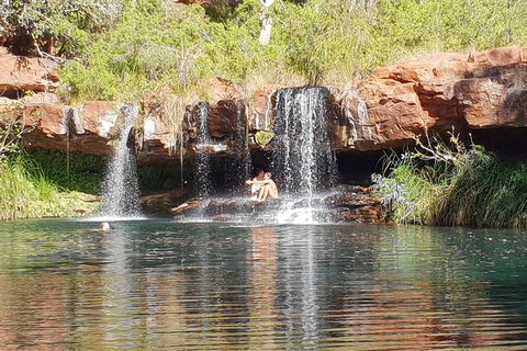 9 Day Perth To Broome Adventure - New South Wales Tourism  2
