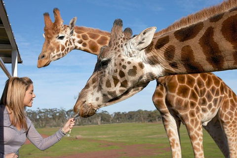 Melbourne City Card (2 Days): Visit Unlimited Attractions! - New South Wales Tourism  1