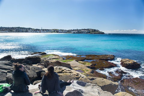 Kiama South Coast Tour With Coastline, Farmlands, Aboriginal Engravings & Lunch - New South Wales Tourism  2