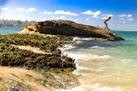 Kiama South Coast Tour With Coastline, Farmlands, Aboriginal Engravings & Lunch - New South Wales Tourism  4