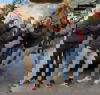 Guided Walking Tour in Adelaide - New South Wales Tourism 