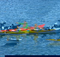 Half-Day Sydney Middle Harbour Guided Kayaking Eco Tour - New South Wales Tourism 
