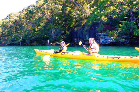 Half-Day Sydney Middle Harbour Guided Kayaking Eco Tour - New South Wales Tourism  4