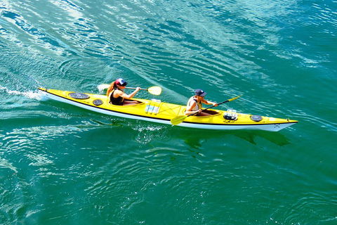 Self-Guided Sydney Middle Harbour Kayak 3 Hour Tour By Double Kayak - New South Wales Tourism  1