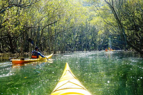 Self-Guided Sydney Middle Harbour Kayak 3 Hour Tour By Double Kayak - New South Wales Tourism  3
