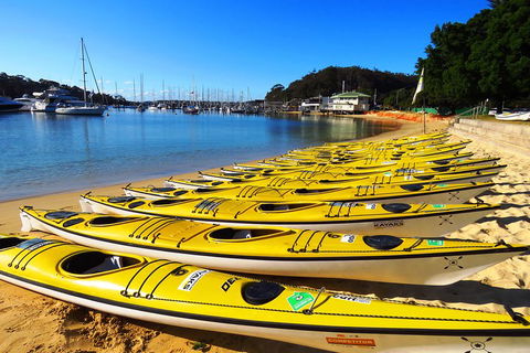 Self-Guided Sydney Middle Harbour Kayak 3 Hour Tour By Double Kayak - New South Wales Tourism  4