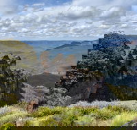 Blue Mountains Private Tour - wild kangaroos waterfalls and The Three Sisters - New South Wales Tourism 