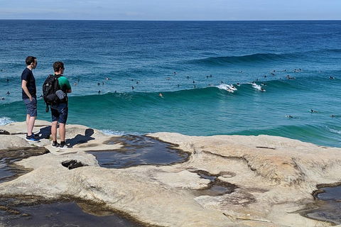 Sydney Secrets & Bondi Beach Private 4 Hr Morning With Personalised Sydney Tours - New South Wales Tourism  2