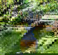 Discover Sydney - Botanic - New South Wales Tourism 