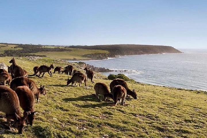 New South Wales Tourism