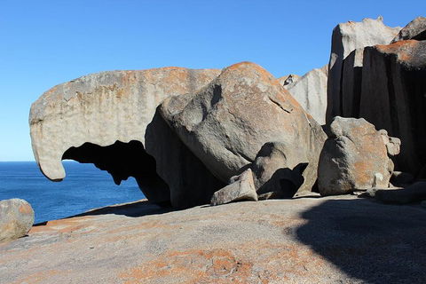 Kangaroo Island Personal Group Tours - New South Wales Tourism  2
