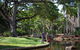 Darwin City Sights And Jumping Crocodile Cruise - thumb 5