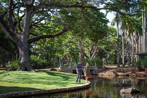 Darwin City Sights And Jumping Crocodile Cruise - New South Wales Tourism  5