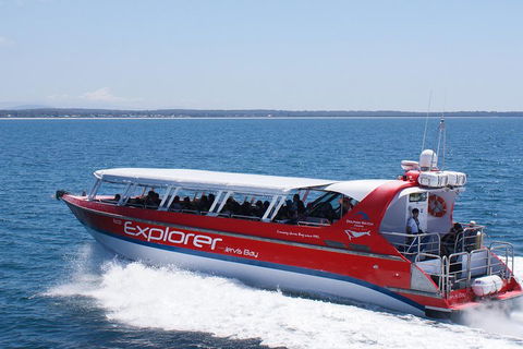 Whale Watching Jervis Bay - New South Wales Tourism  1