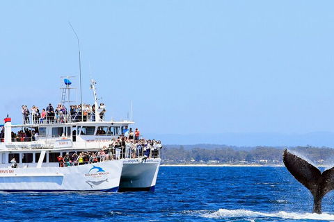 Whale Watching Jervis Bay - New South Wales Tourism  4