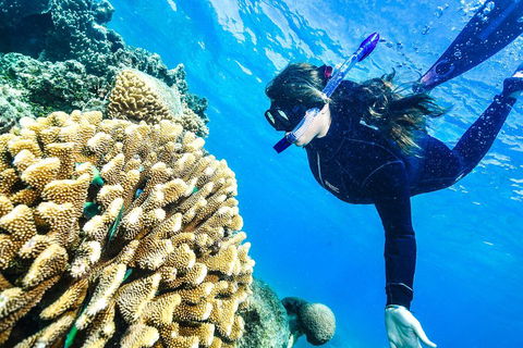 Green Island Day Trip From Cairns - New South Wales Tourism  1