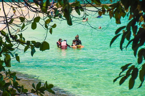Green Island Day Trip From Cairns - New South Wales Tourism  2