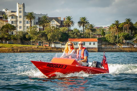 Sydney Speed Boat Adventure Harbour Tour - New South Wales Tourism  4