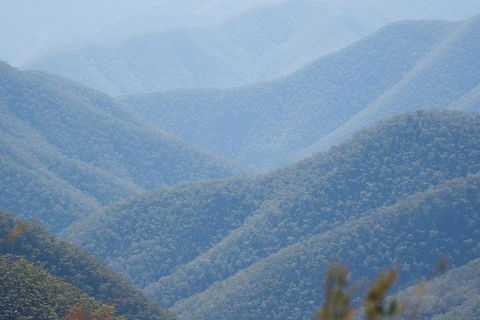 From The Mountains To The Bay - 4 Day Rediscovery Private Tour - New South Wales Tourism  1