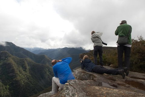 From The Mountains To The Bay - 4 Day Rediscovery Private Tour - New South Wales Tourism  4