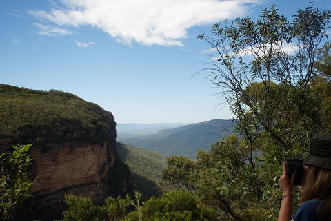 From The Mountains To The Bay - 4 Day Rediscovery Small Group Tour - New South Wales Tourism  5