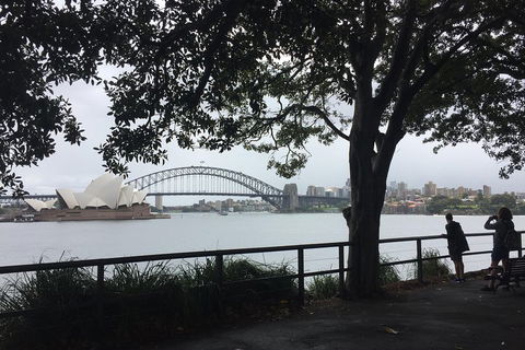 Private Tour: Half-Day Iconic Sydney - New South Wales Tourism  4