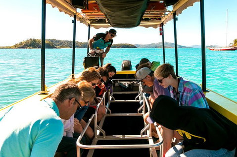 Airlie Beach Glass Bottom Boat Tour - New South Wales Tourism  1