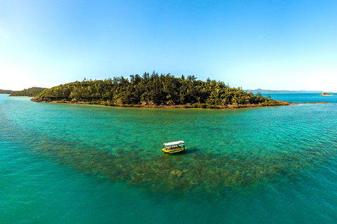 Airlie Beach Glass Bottom Boat Tour - New South Wales Tourism  3