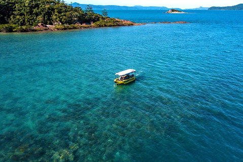 Airlie Beach Glass Bottom Boat Tour - New South Wales Tourism  4
