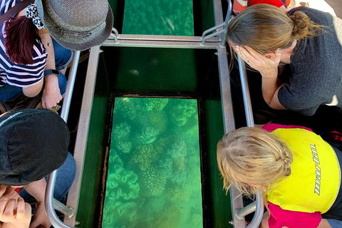 Airlie Beach Glass Bottom Boat Tour - New South Wales Tourism  5