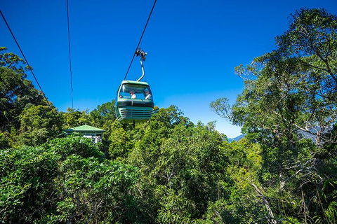 Skyrail Rainforest Cableway Day Trip From Cairns - New South Wales Tourism  1