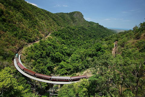 Skyrail Rainforest Cableway Day Trip From Cairns - New South Wales Tourism  5