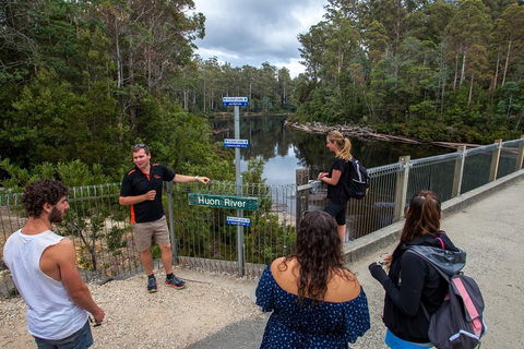 Tahune Airwalk Active Day Trip From Hobart Including Hastings Caves - New South Wales Tourism  1