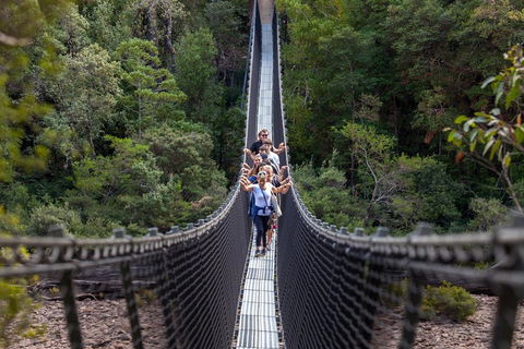 Tahune Airwalk Active Day Trip From Hobart Including Hastings Caves - New South Wales Tourism  3