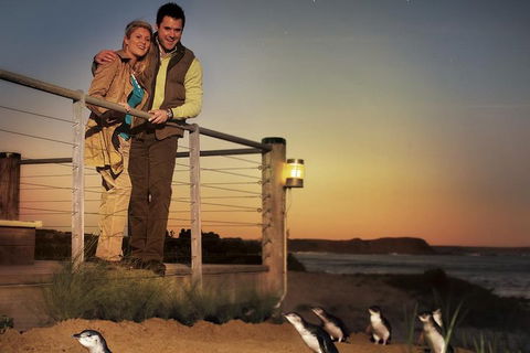 The Ultimate Melbourne Attractions Pass - New South Wales Tourism  3