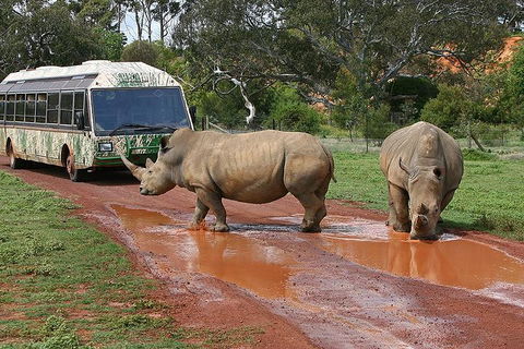 The Ultimate Melbourne Attractions Pass - New South Wales Tourism  4