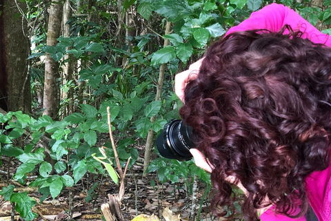 Let's Go Buggin & Let's Go Shroomin - Photography & Nature Walking Tours - New South Wales Tourism  1