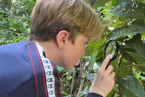 Let's Go Buggin & Let's Go Shroomin - Photography & Nature Walking Tours - New South Wales Tourism  3
