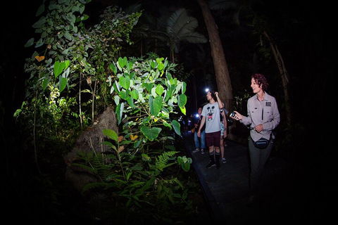 Let's Go Buggin & Let's Go Shroomin - Photography & Nature Walking Tours - New South Wales Tourism  4