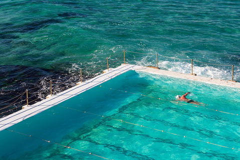 Small Group Essential Sydney Tour Including Lunch - New South Wales Tourism  5