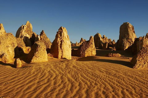 Full Day Pinnacle Desert Explorer From Perth Including Hillarys And Lancelin Sandboarding - New South Wales Tourism  3