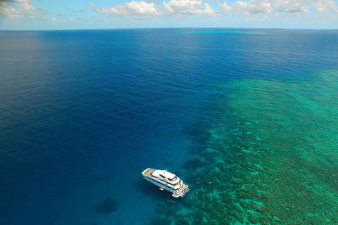 Great Barrier Reef Snorkeling And Diving Cruise From Cairns - New South Wales Tourism  4