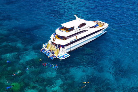 Great Barrier Reef Snorkeling And Diving Cruise From Cairns - New South Wales Tourism  5