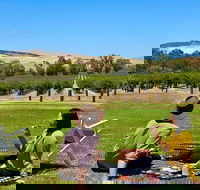 Private Picnic and Wine Tasting Experience in Barossa Valley - New South Wales Tourism 